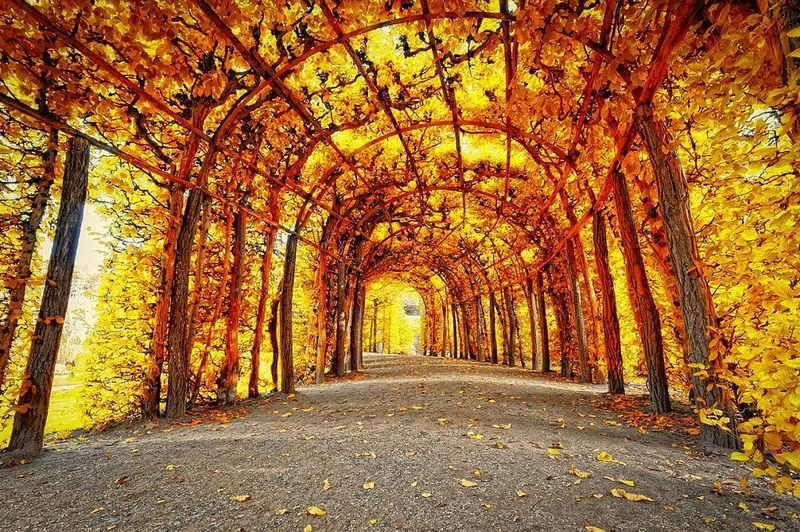 b3bagg.webp