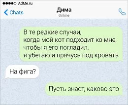 b3ccec.webp