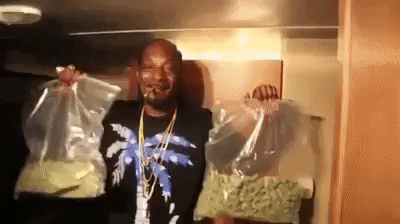 b3ce43cace6593e9c.gif