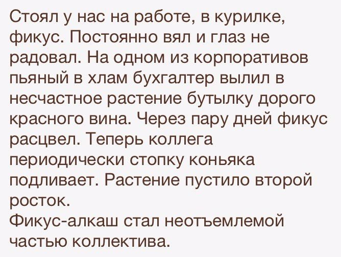 B3cGQw2ziPg.jpg