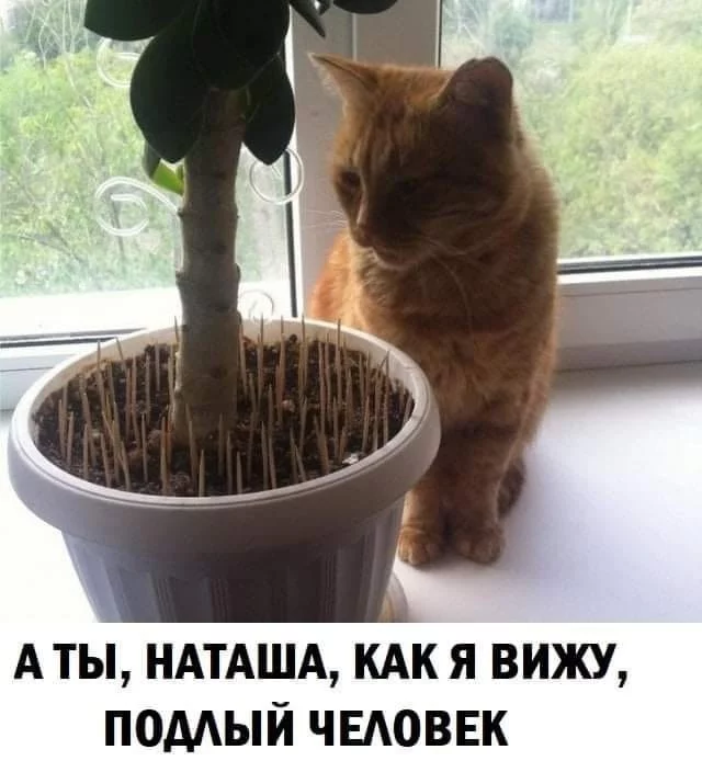 b3d4067b3f0dd7f90c8a.webp