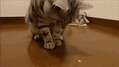 b3dbac.gif