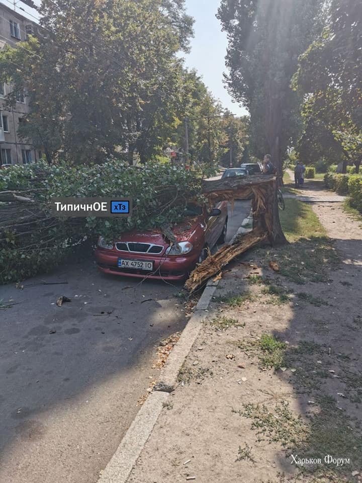 b3dcb2de3e410665a71.jpg