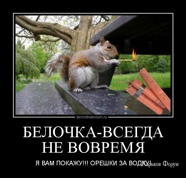 b3fa630f59fa7e909d.webp