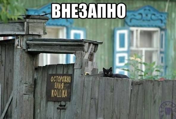 B3rZxkHdivE.jpg