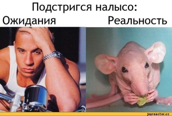 B4%D0%B0%D0%BB%D1%91%D0%BD%D0%BD%D0%BE%D0%B5-82483.jpg