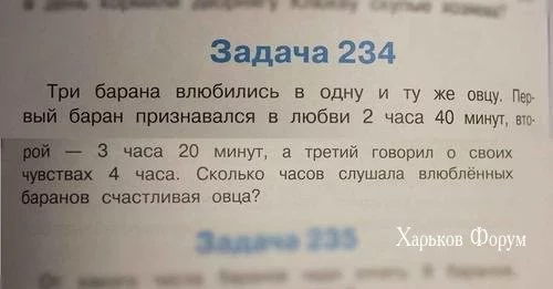 b40a48bf8be54c69ffa.webp