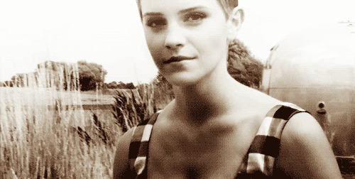 b40f8e1866a96f73.gif