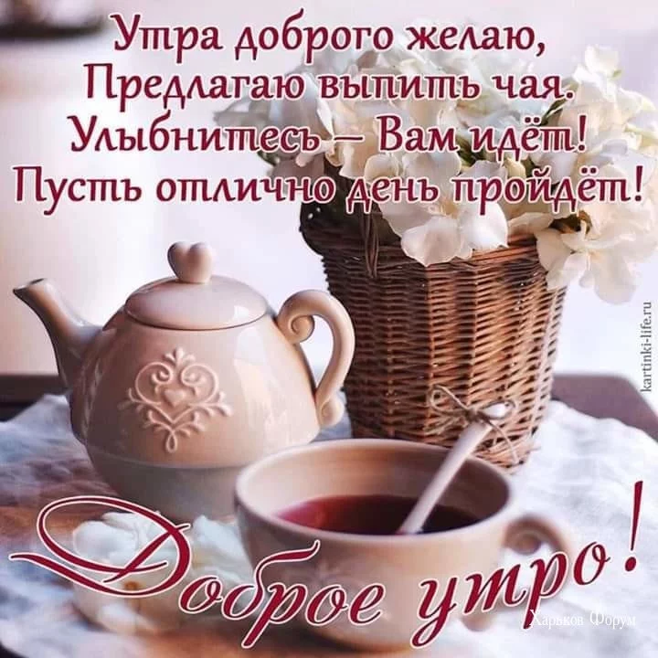 b4120885936fea9a752.webp