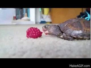 b427b48a0bcb9e57bc8.gif