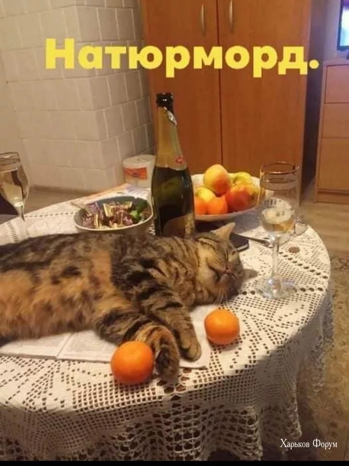 b430f75c0b9dfaaaa235c.webp
