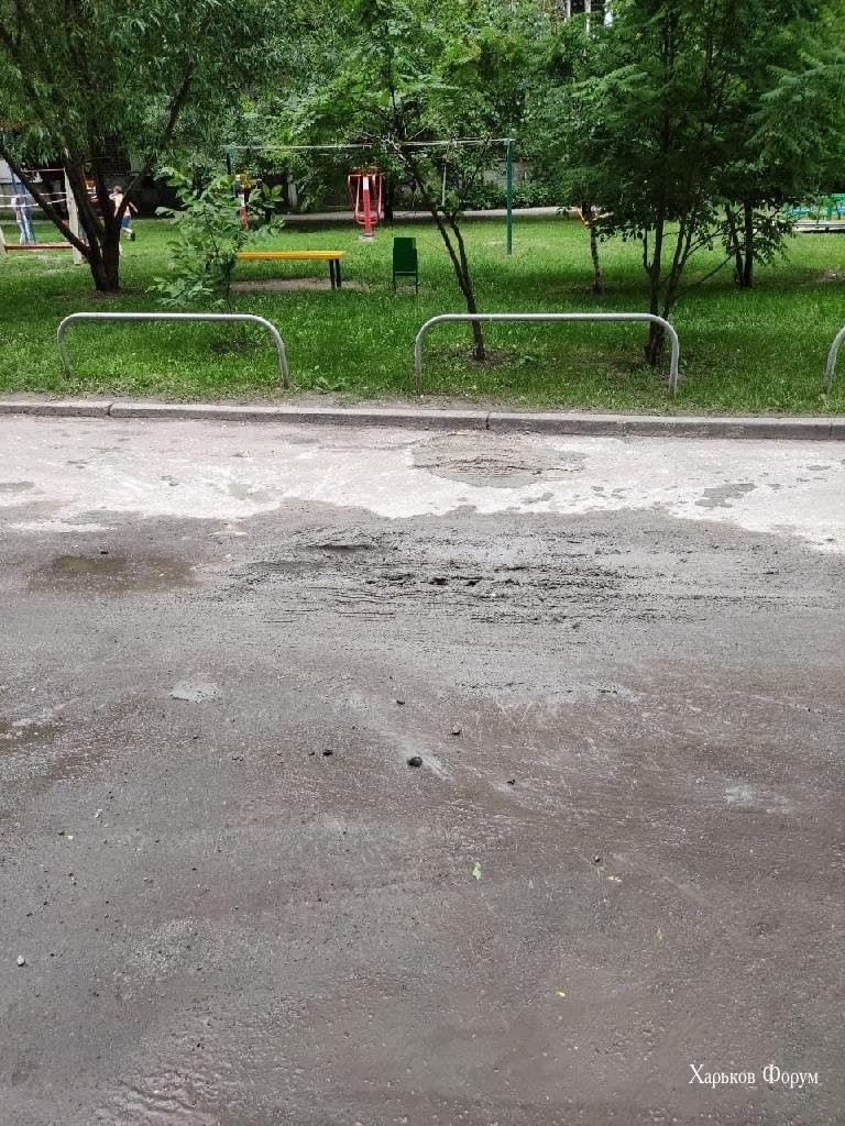 b44a1b2f4acd07d6c2.jpg
