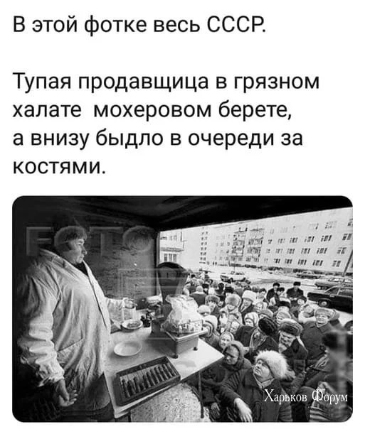 b4778d2ef1a71d2d.webp