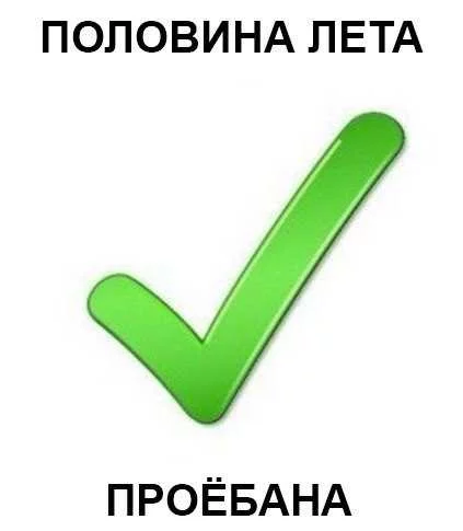 b49260a4a648c53ee21541888c9dd48b.webp