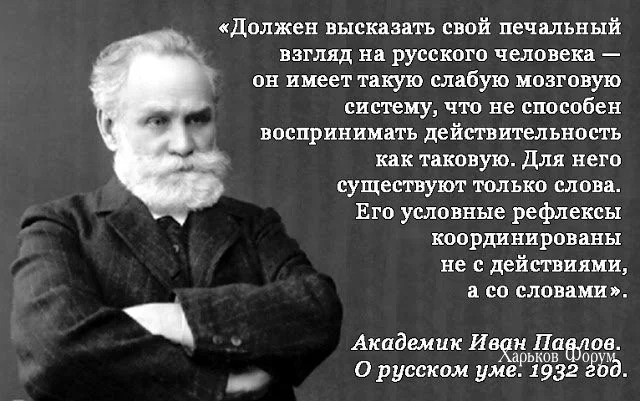 b4a021bb20c859437.webp