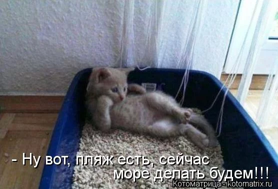 b4bjcb.webp