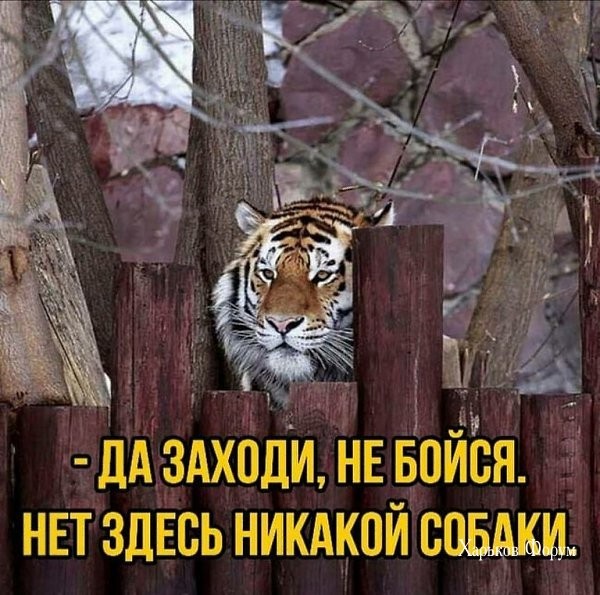 b4c3f0682e4cd78a14c.jpg