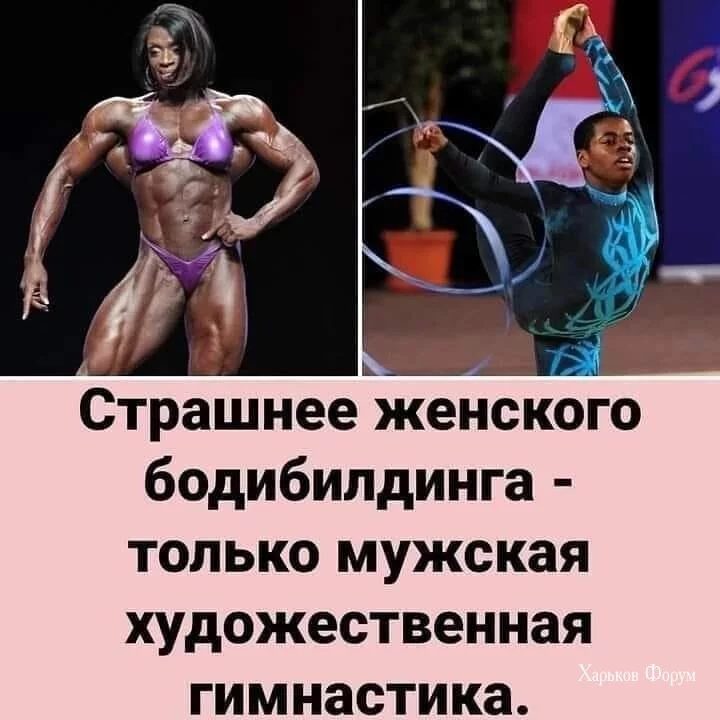 b4ed3c58e8768bec.webp