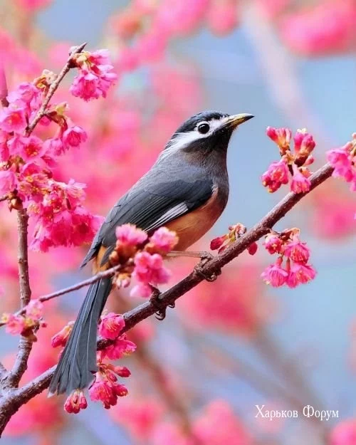 b4eea1d59efa195c6.webp