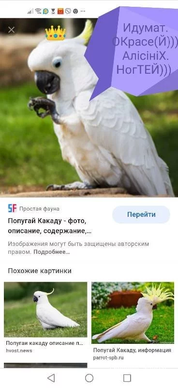b4fa4aee056b834afb1f42.webp