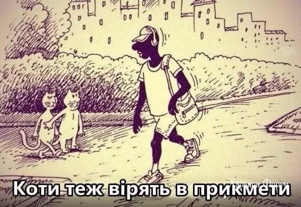 b50318b0fe3a779aa623fa.webp