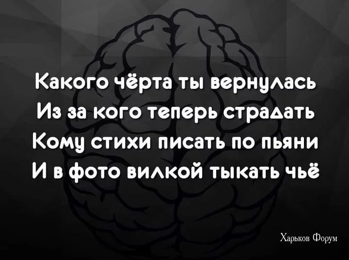 b536a1ec6cf85e50c36bb.webp