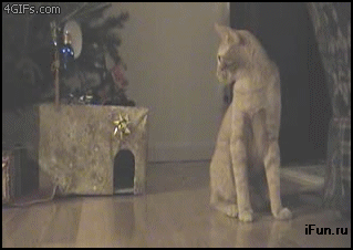 b54cc83b77b8e84f83c5c.gif