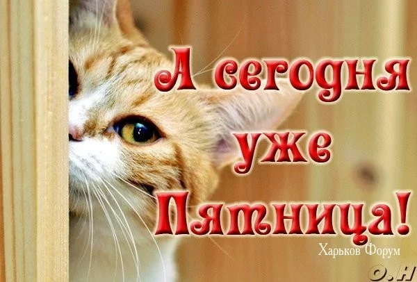 b55f25a05c69038d5b2.webp