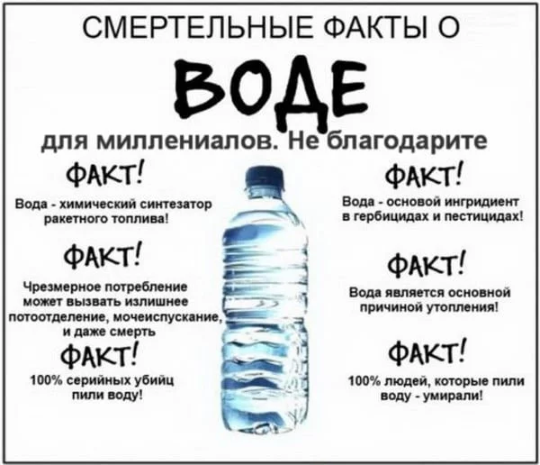 b56005c668101afb9498.webp