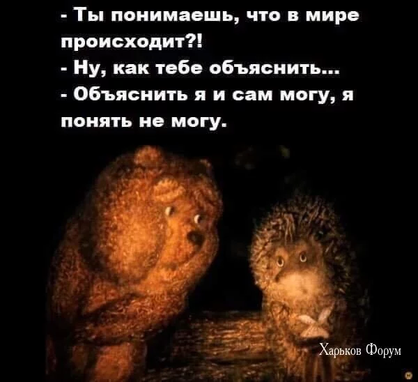 b5612056699fedabd97c.webp