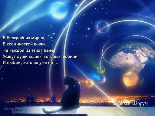 b56ade3addfe12ebf1d42da.webp