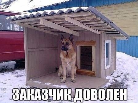 b5868fb694ded979839cc633c9853631.jpg