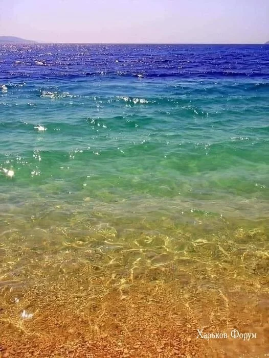 b58e73535c769fe7683b271.webp