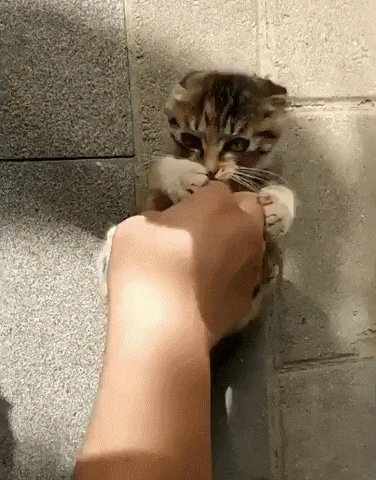 b591b5b5d0d2e237381857ac.gif