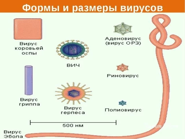 b59c34c9c3d13f24f4c.webp