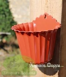 b5a06457eeec88a76123.webp