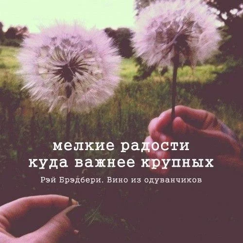 b5ajhe.webp