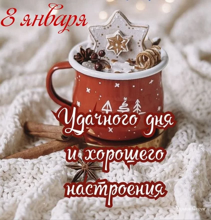 b5d4cd14713f40662390add.webp