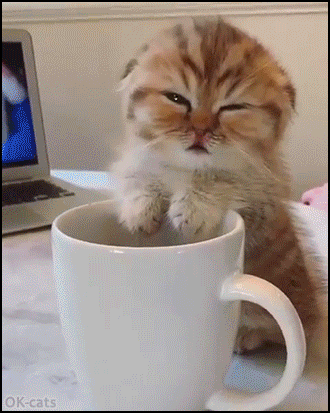 b5df671fc6c1ad7157d3088.gif