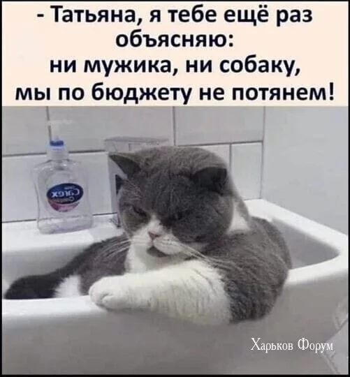 b5e12c2b53dd9aa504905b1f.webp