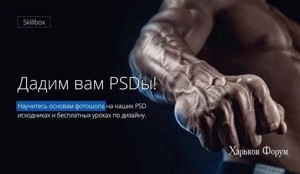 b5ecc4c0915c70207.webp