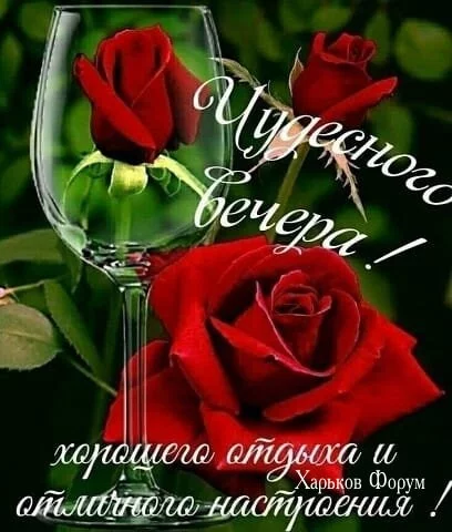 b5edac0fc073a990d6475.webp