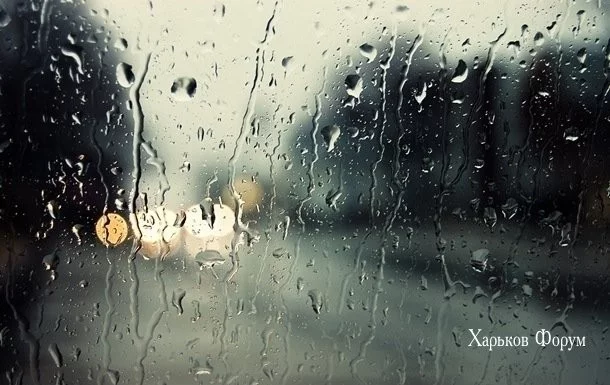 b5fdbd0515b0bb033bdc.webp