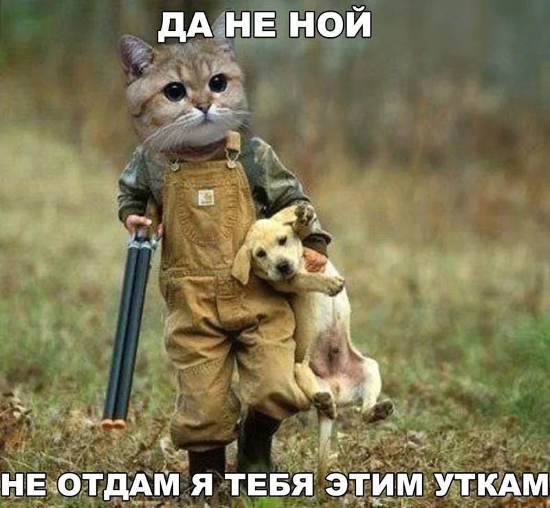 b5gcjf.webp