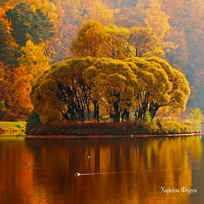b607dee2405f780ef60.webp