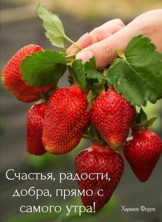 b6112300d0b2b88ce7.jpg
