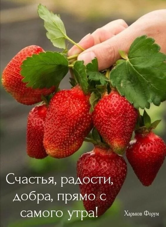 b6112300d0b2b88ce7.webp