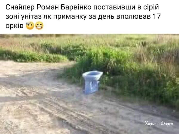 b6365d842b7771705d7c682.webp