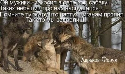 b647f212f75962749.webp