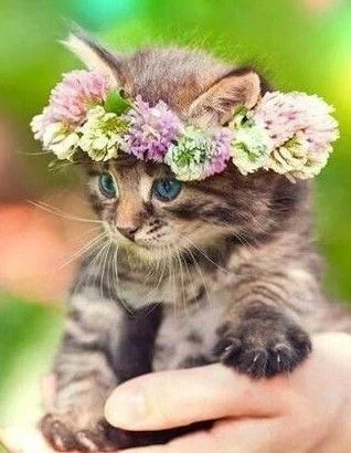 b64dfb747899c21baec718add13a2ce3.webp